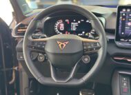 Cupra Terramar 2.0 TSI DSG 4Drive VZ