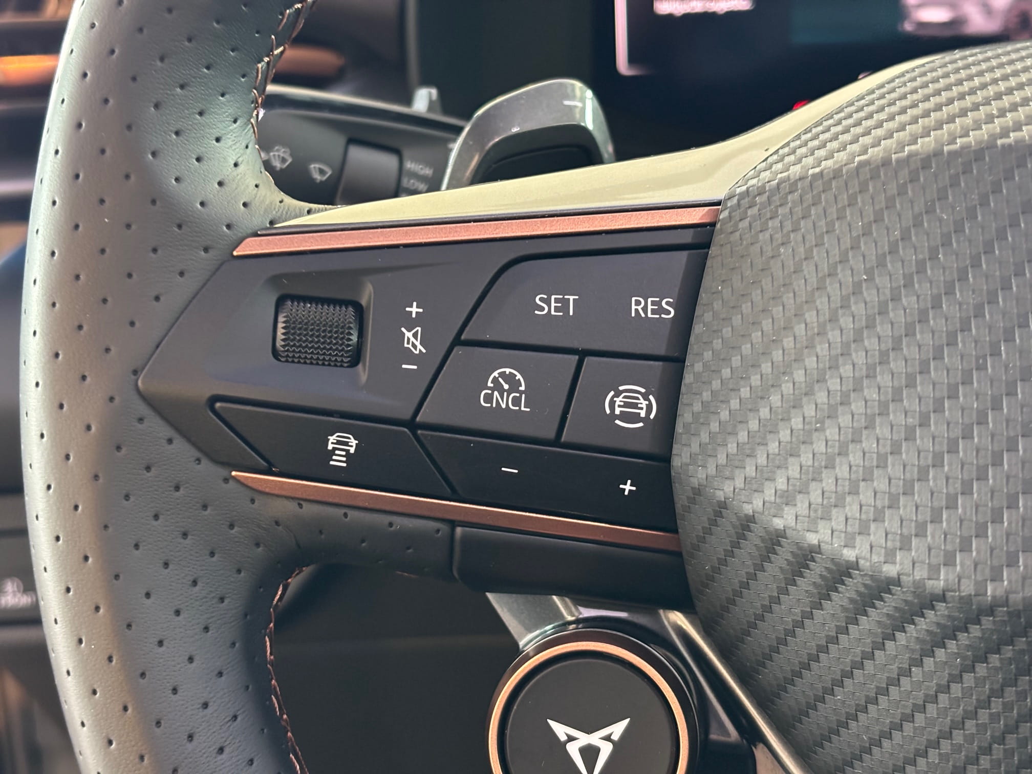 Cupra Terramar 2.0 TSI DSG 4Drive VZ