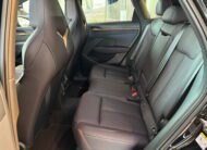 Cupra Terramar 2.0 TSI DSG 4Drive VZ